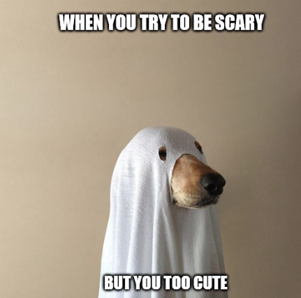 pump.fun/Fb1jgnB16Lchee…

BOO