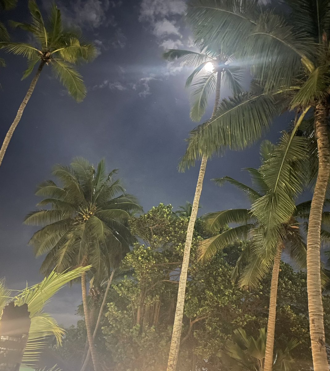 Masato05670090's tweet photo. #Moon #FullMoon #Supermoon #Astronomy #ClimateChange #togo
#lome https://t.co/U9Udwu1KOC