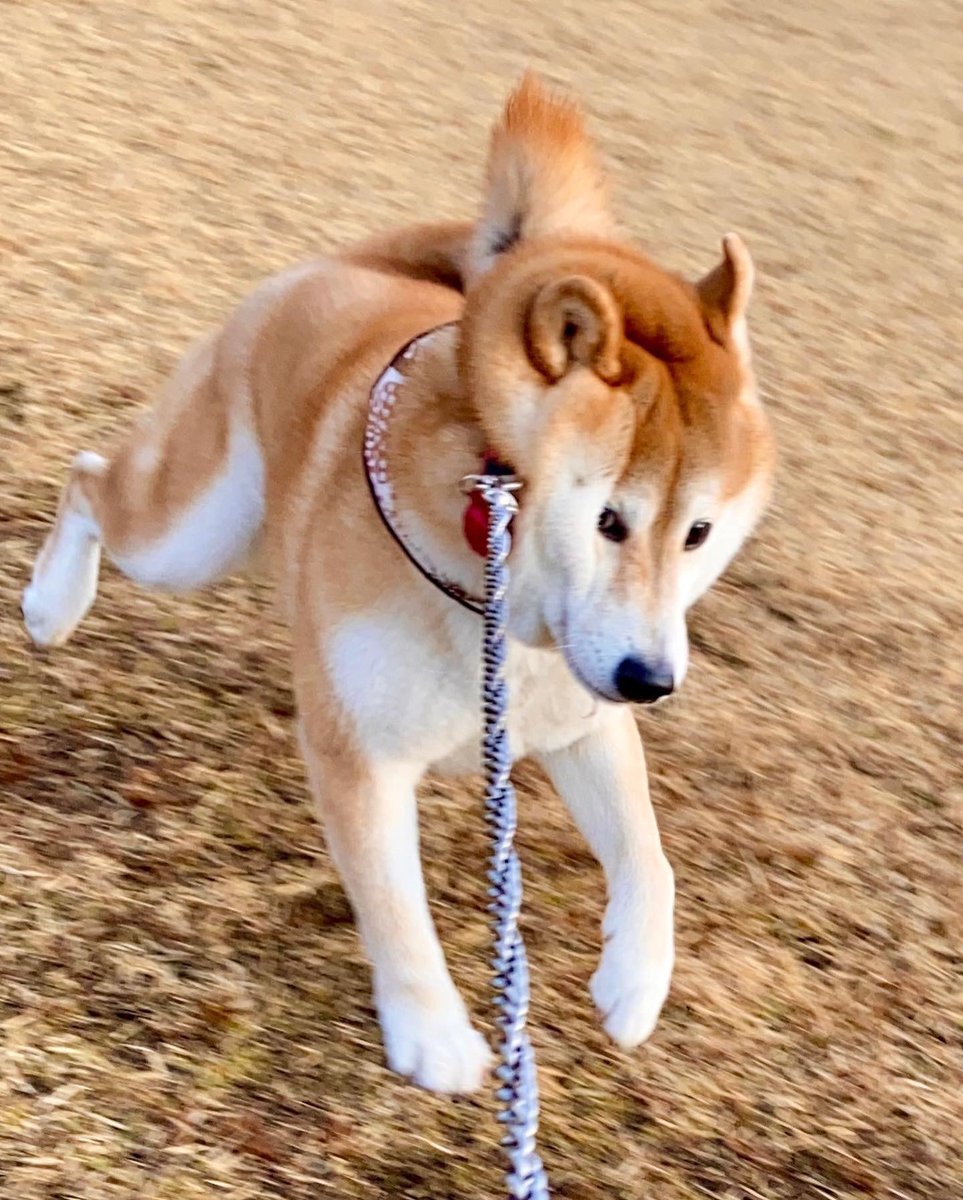 나 고백할게 있어 …. 
오늘 운전하다 상대방이 운전 너무 답답하개 하는 나머지 운전면허 반납하고 전자자전거 타라고 했어 🥺🥺 
내 기분으로 상대방의 노력을 매도했어 … 
미안해요 🥺