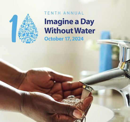 Warren Water tweet media