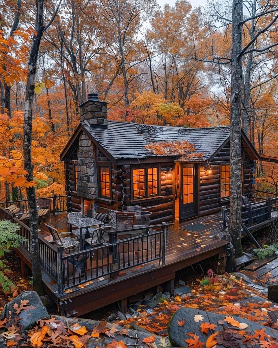 You ever smell a picture? 🍂 🍁