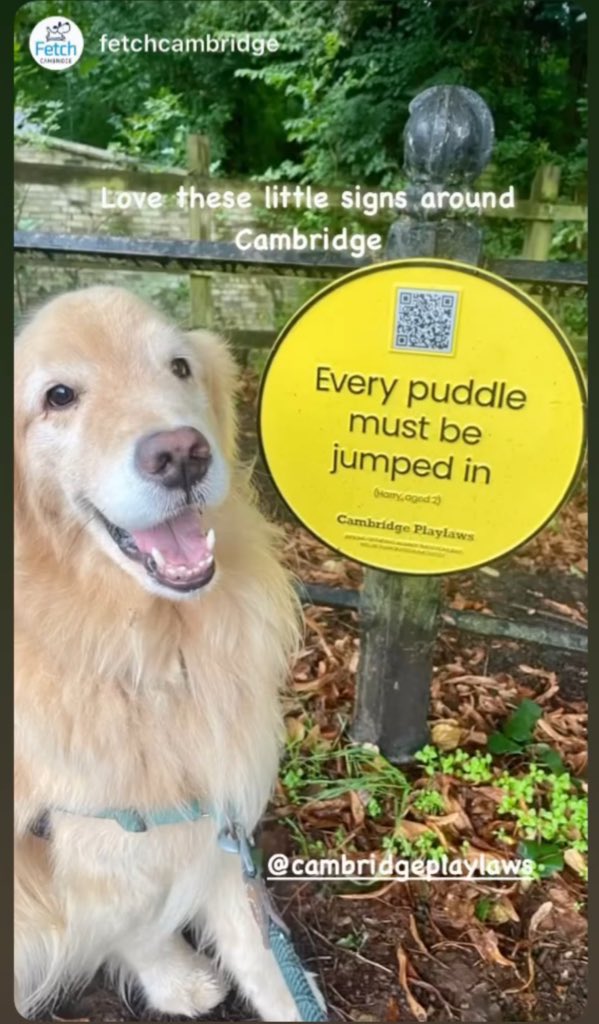 PlayfulAnywhere (@playfulanytime) on Twitter photo <a href="/dave_mcpartlin/">Dave McPartlin</a> Harry aged 2 would agree!
<a href="/ThePlaylaws/">ThePlaylaws</a>
(The dog isn’t called Harry as far as we know) cambridgeplaylaws.fun/playmap/plaque… <a href="/dave_mcpartlin/">Dave McPartlin</a> Harry aged 2 would agree!
<a href="/ThePlaylaws/">ThePlaylaws</a>
(The dog isn’t called Harry as far as we know) cambridgeplaylaws.fun/playmap/plaque…