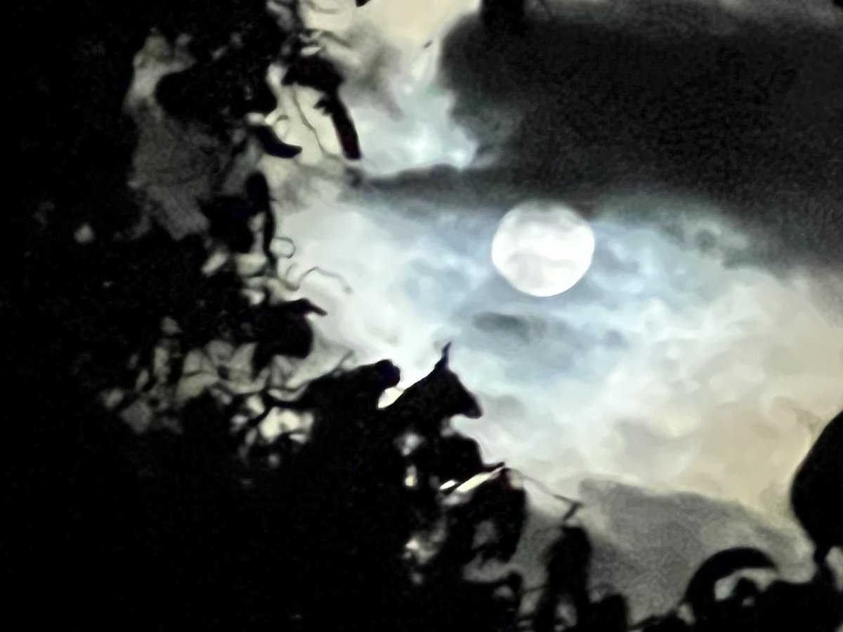 De Supermaan van 17 oktober 2024 gefotografeerd vanuit mijn achtertuin.