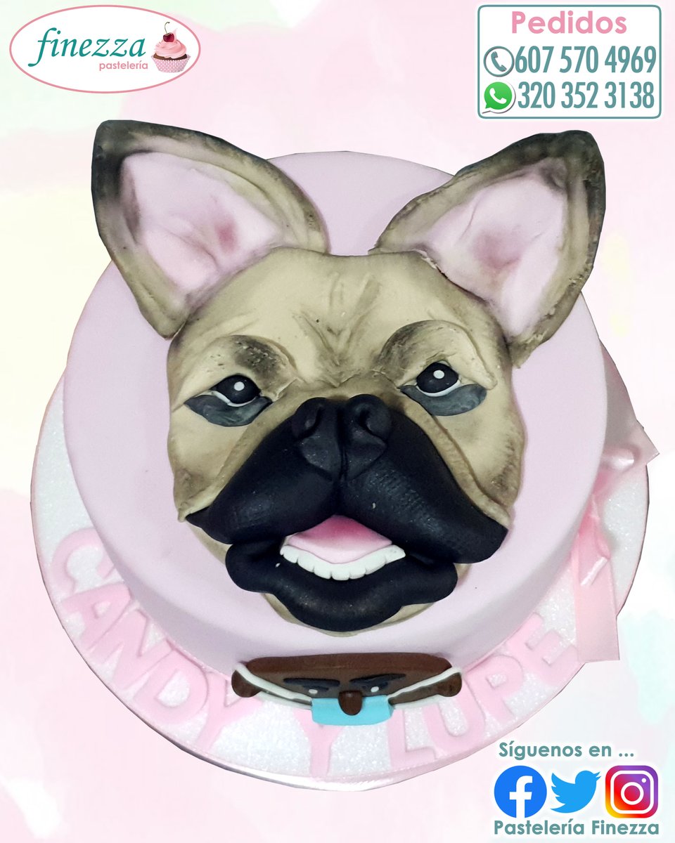 pastelfinezza's tweet photo. Feliz Cumpleaños Perruno Candy Lupe!
 
#PasteleriaFinezza #CelebraConFinezza #Cumpleaños #FelizCumpleaños #HappyBirthday #Ponque #PonqueAlto #Torta #Cake #Perruno #CakePerruno #PerrunoCake #Dog #Canino #Perro  #CandyLupe https://t.co/KlInD3pqc9