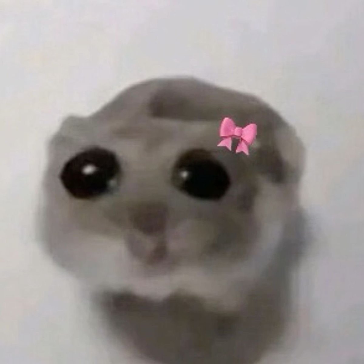 Berry SMP tweet media