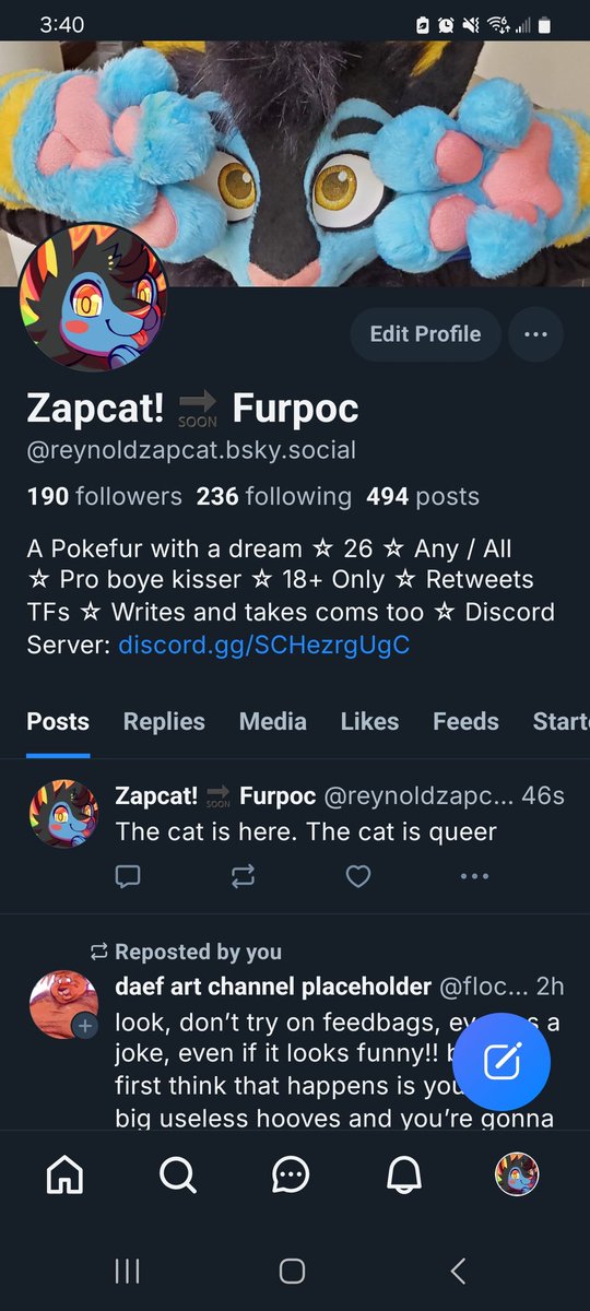 Reynold the Zapcat! 🔜 Furpoc tweet media