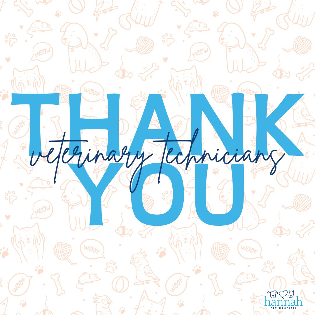 HannahSociety's tweet photo. Thank you to all the incredible veterinary technicians who work tirelessly to care for our beloved animals. Your dedication, compassion, and expertise make a world of difference every day. We’re grateful for all that you do! 🐾❤️ #ThankYouVetTechs #AnimalCareHeroes https://t.co/PUpkZcsuuG
