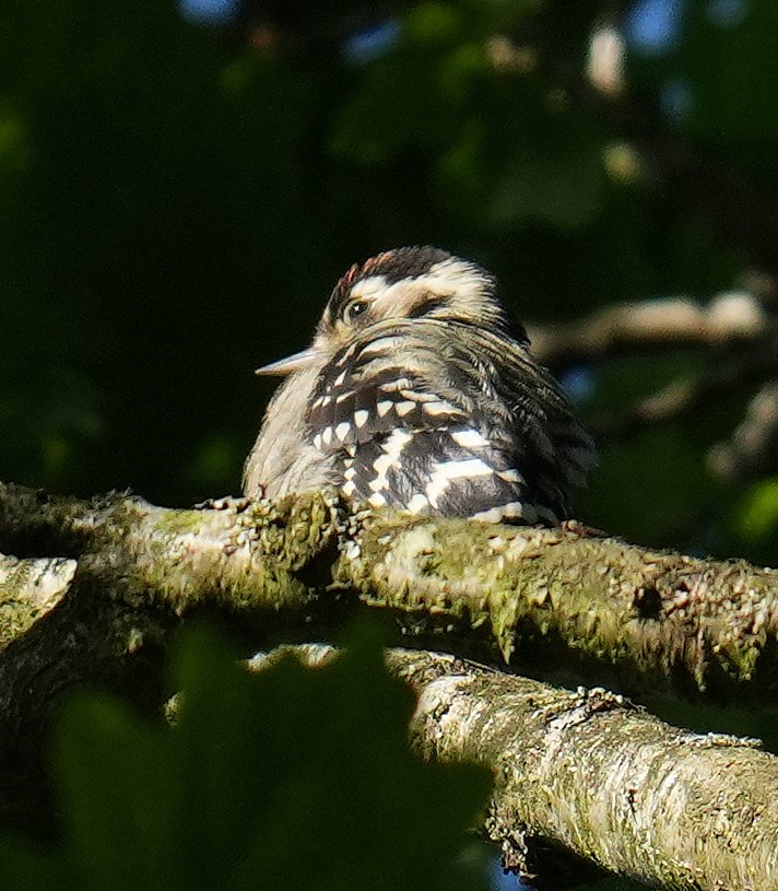 Nick Green tweet media