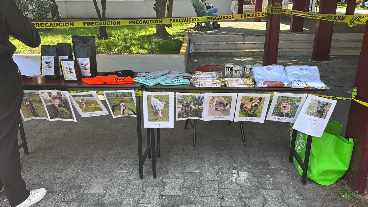 FundacionToby's tweet image. Hola amigos, hoy estoy vendiendo desde la Esca Tepepan en el bazar del cambio 🐾🧡💜✨

Si hoy quieren comprar chocolates, gorros, café, veladoras o gorras, pueden darse una vuelta o nos pueden hacer su pedido por aquí  🙌

Hoy va por Humberto!!