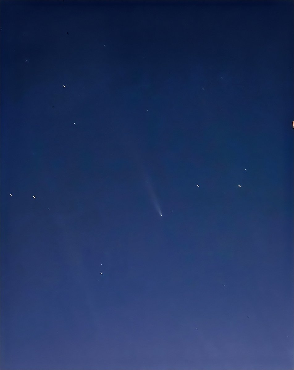 MANUEL™ tweet media