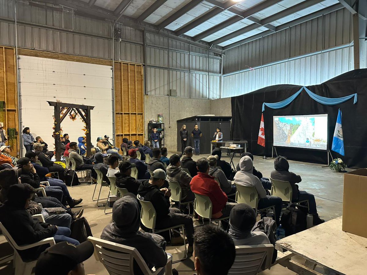 MinexGt's tweet photo. El @ConsGtVancouver, gracias a las alianzas establecidas con la organización #AgSafe, logró que los guatemaltecos trabajadores temporales recibieran apoyo mediante consejería brindada por profesionales guatemaltecos. #GuatemalaCercaDeTi🇬🇹 https://t.co/H73pTkS214