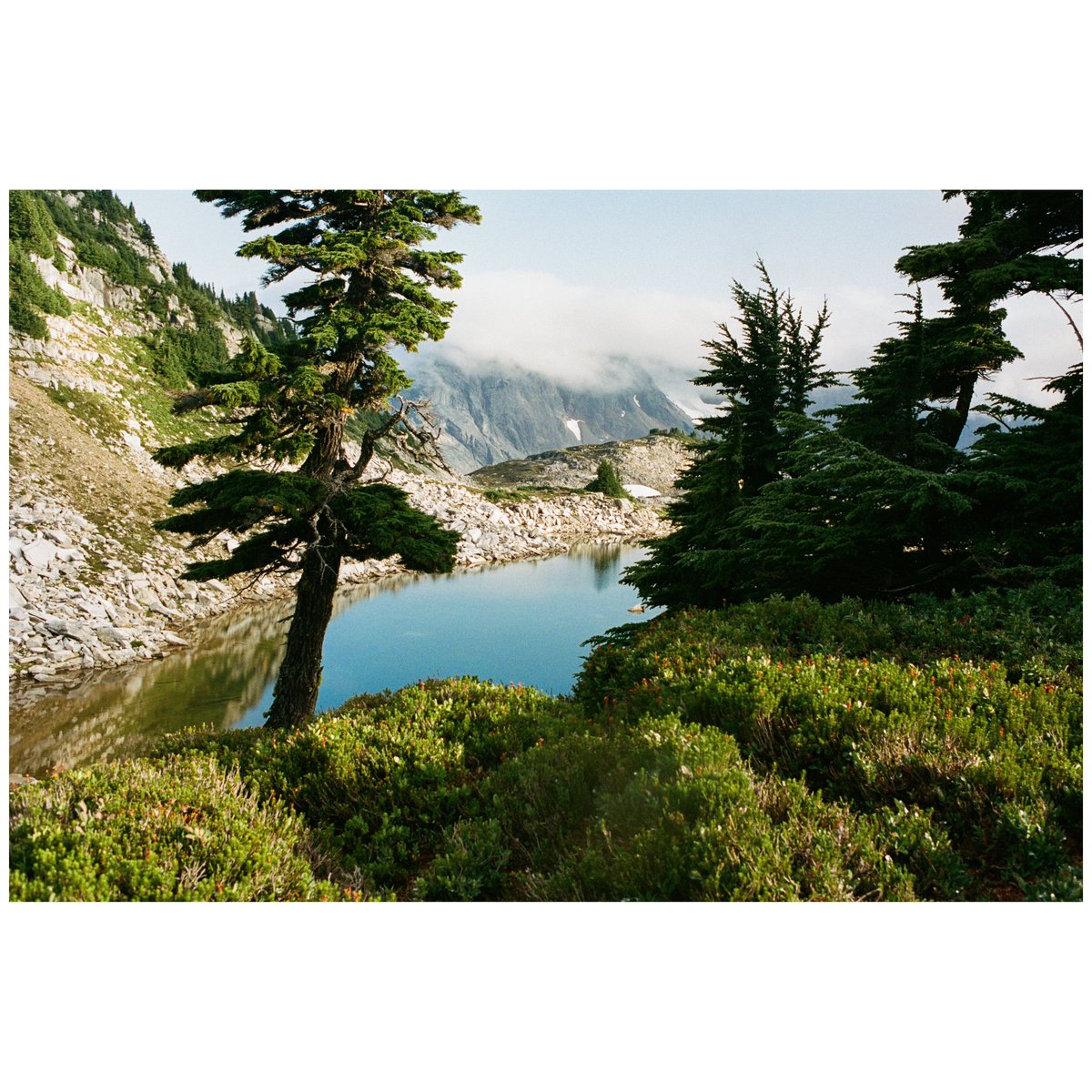 forestoutside's tweet image. Views through the ☁️’s 🎞️