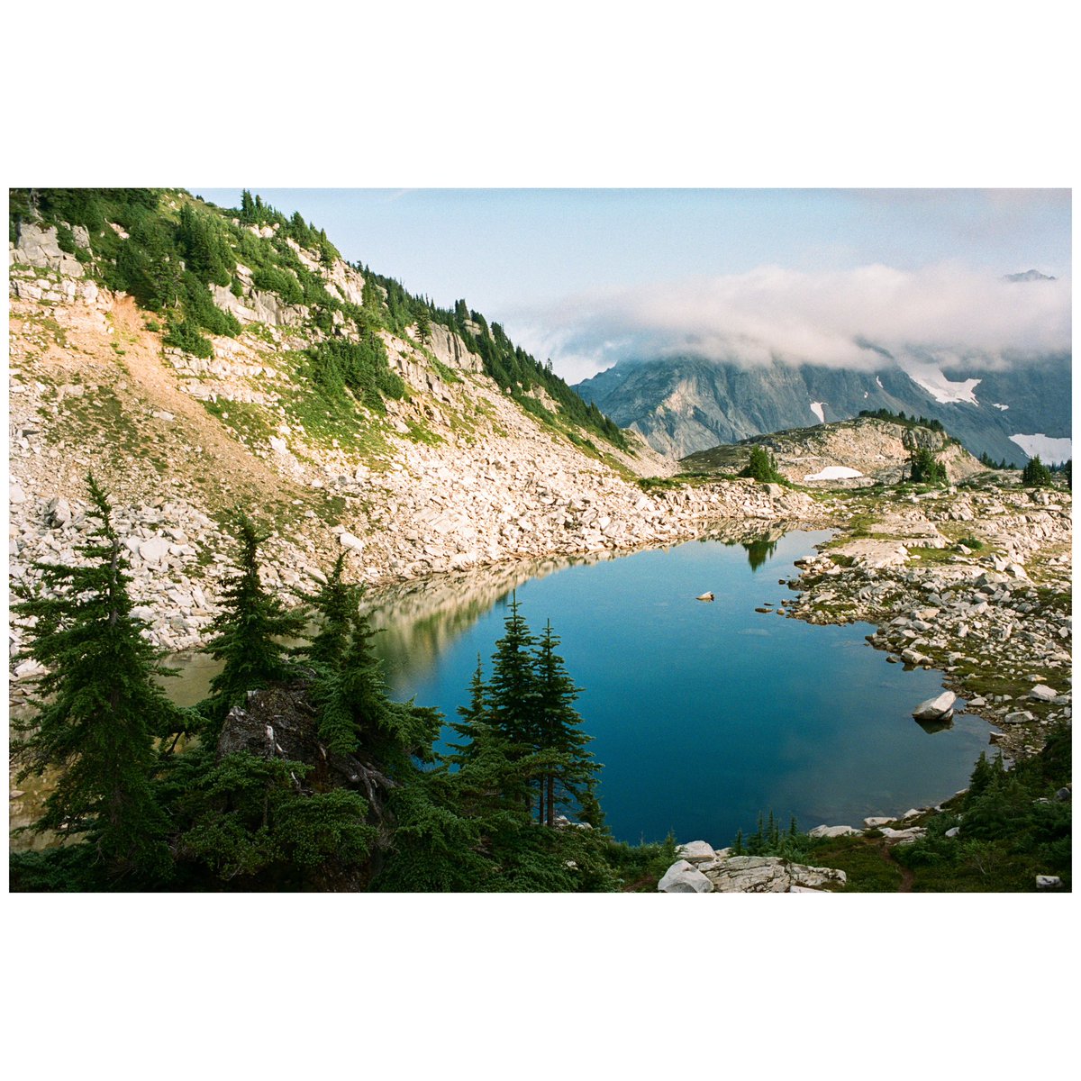 forestoutside's tweet image. Views through the ☁️’s 🎞️