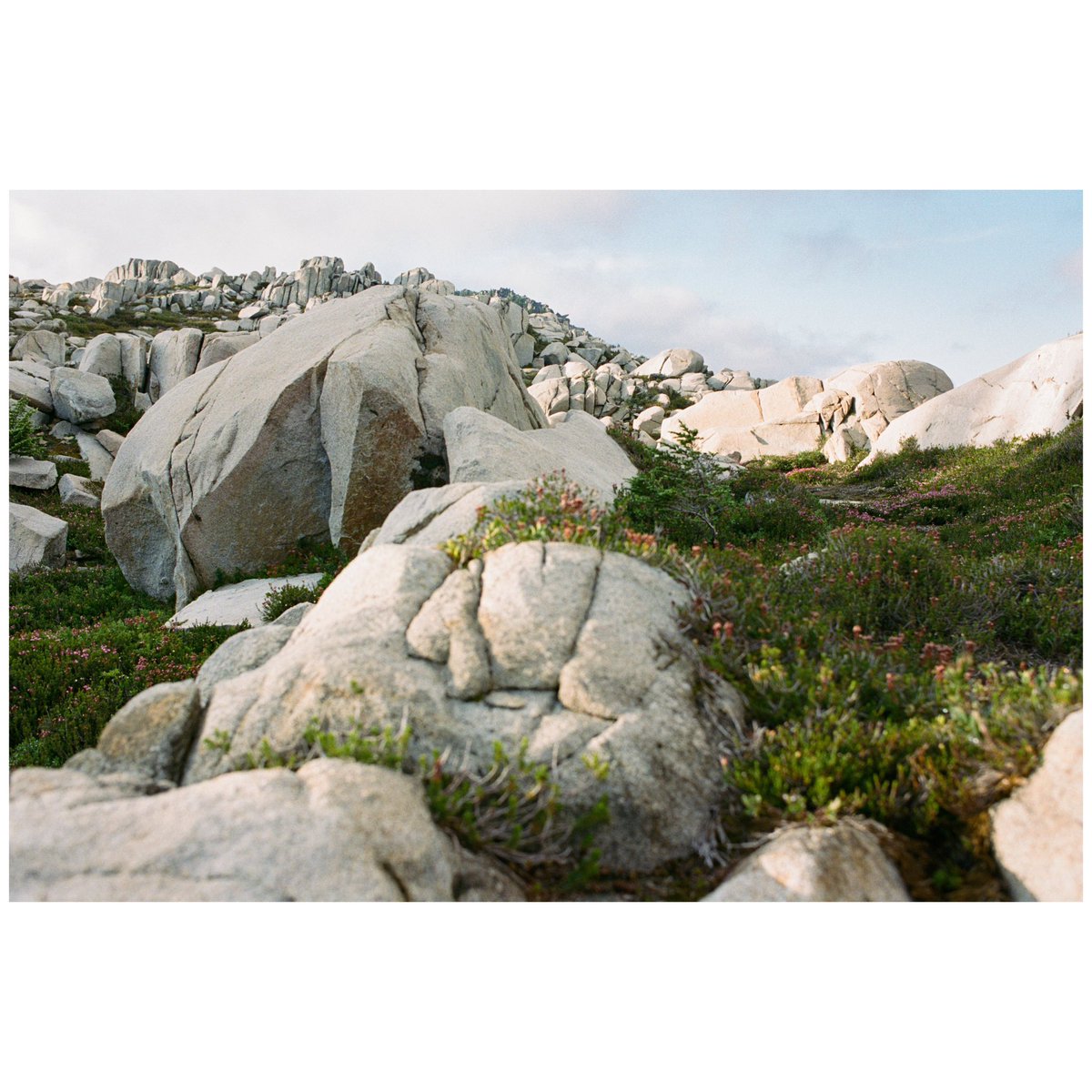 forestoutside's tweet image. Views through the ☁️’s 🎞️