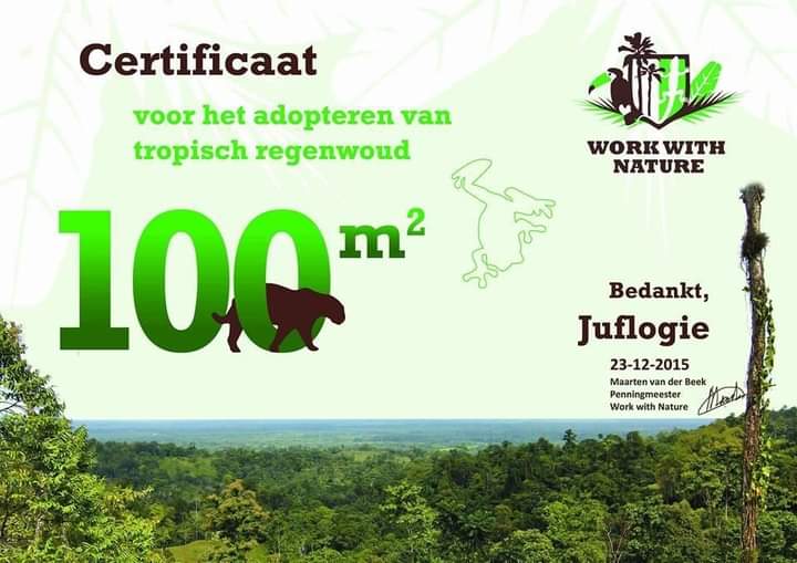 Juflogie_Nature's tweet photo. Work With Nature Protect Tropical rainforest in Costa Rica.  🌴🌴🌴
#Juflogie  , #wwn  , #nature https://t.co/RePlmGCRUV