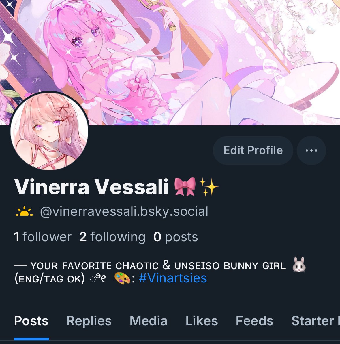 Vinerra Vessali 🎀✨ tweet media