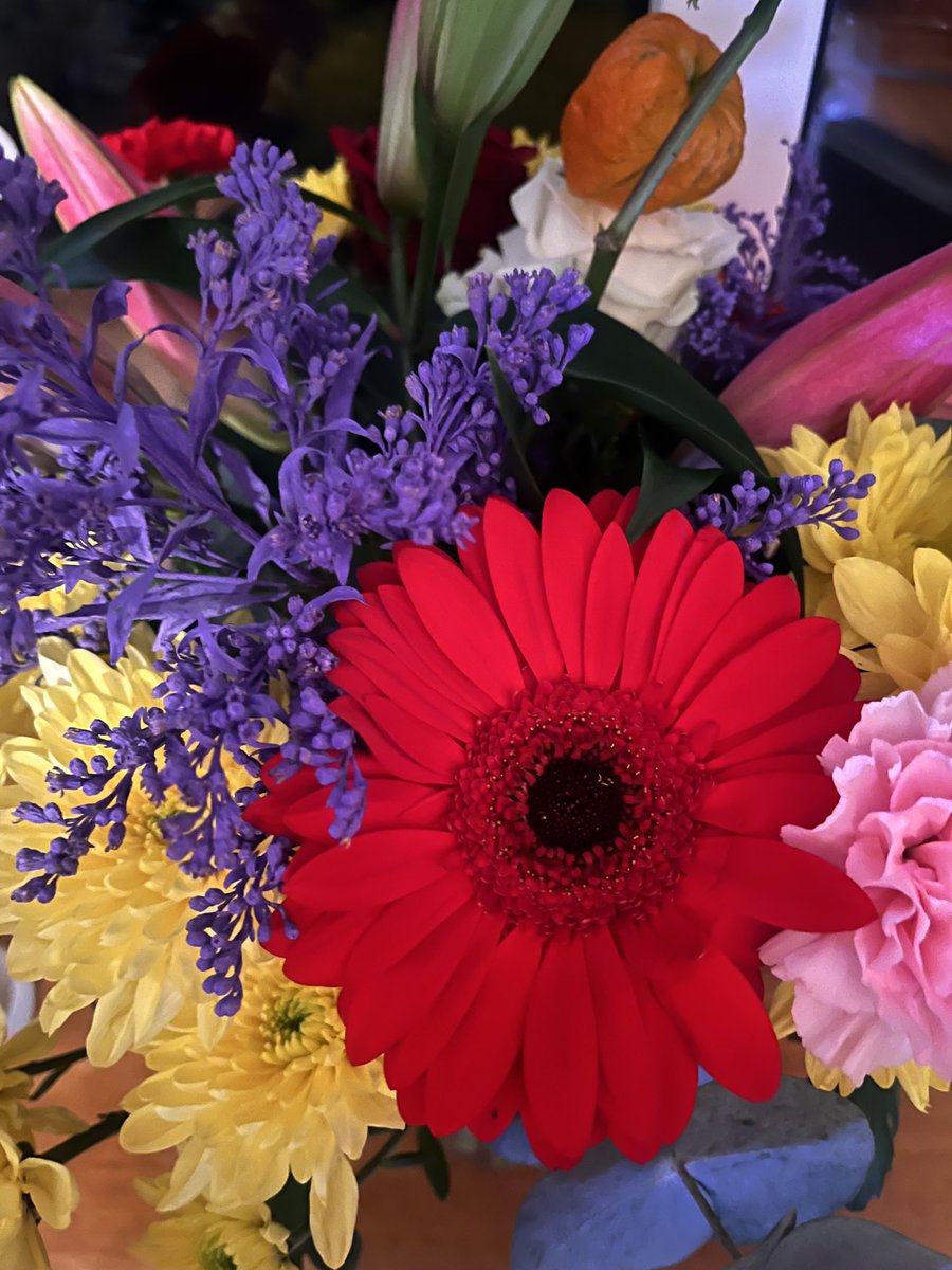 Marie Sheahan tweet media