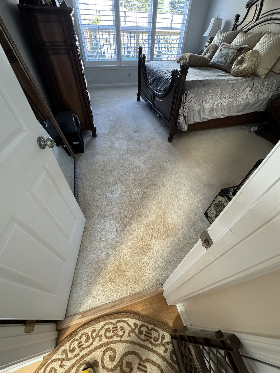 CitruSolution's tweet photo. If you’re a homeowner with carpet and don’t know how to spot clean effectively any type of stains in your carpet, think twice before you put anything harmful down. Then pick up the phone and call us. https://t.co/BCAYgrPLxD