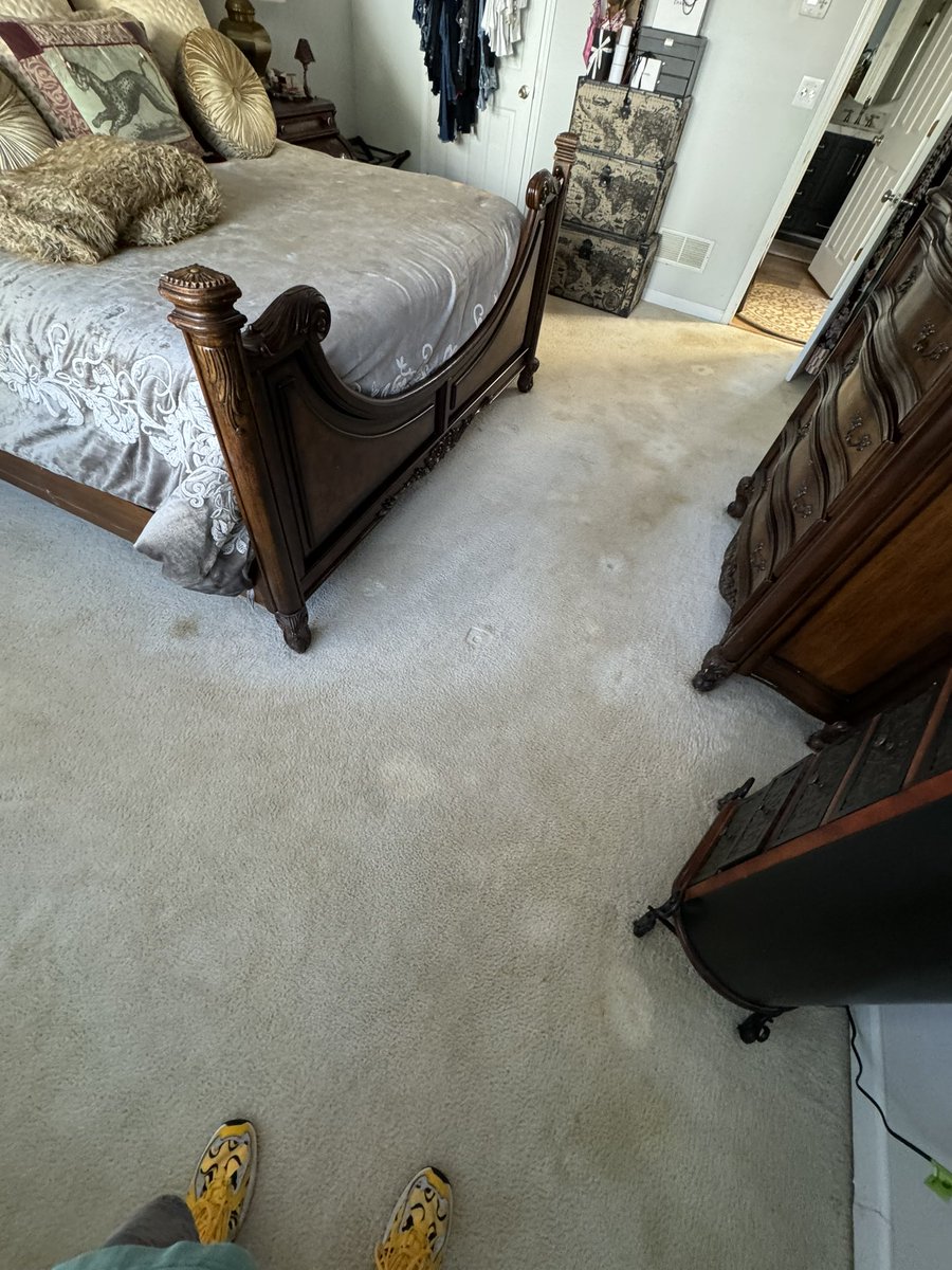 CitruSolution's tweet photo. If you’re a homeowner with carpet and don’t know how to spot clean effectively any type of stains in your carpet, think twice before you put anything harmful down. Then pick up the phone and call us. https://t.co/BCAYgrPLxD