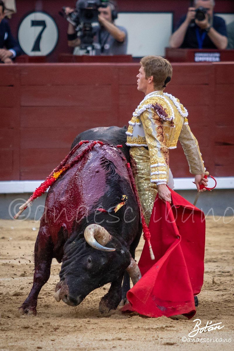 purezatoros's tweet photo. El mismo muletazo visto por delante (@botanfotografos) y visto por detrás. https://t.co/2ImCS4gffc