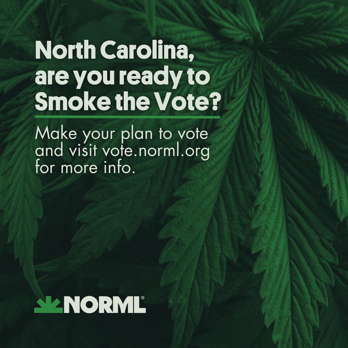 NC_NORML's tweet photo. Marijuana may not be on the ballot in NC, but the politicians you elect this will influence  cannabis policy here &amp; across the nation. Before you vote, visit NORML’s Smoke the Vote at https://t.co/ILD56ROZgA  enter your address to see your candidates' positions on marijuana. https://t.co/IZs4Ko7G9R