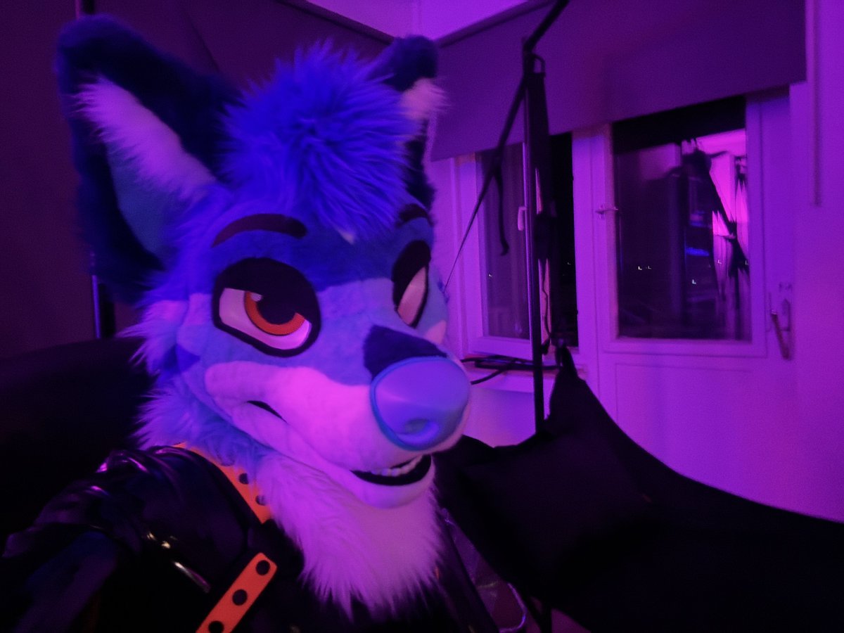 𐌋𐌄Ᏽ𐌉 tweet media