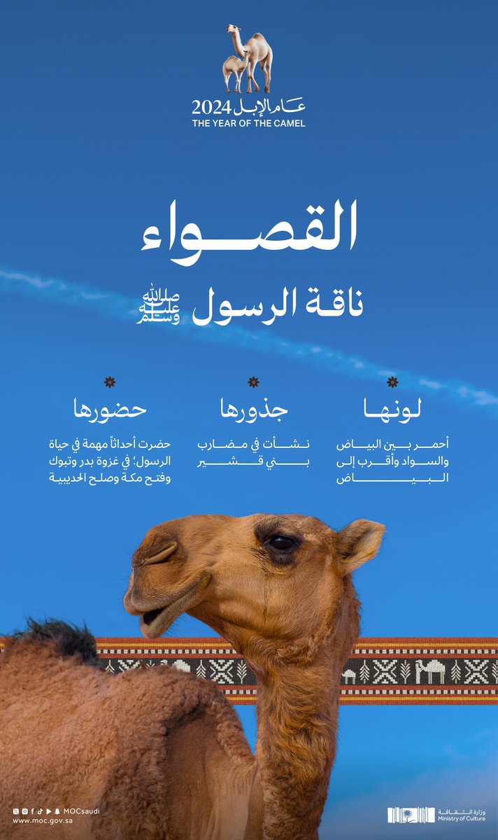 MOCSaudi's tweet photo. القصواء؛ ناقة الرسول صلى الله عليه وسلم التي ارتبطت بالقوة والوفاء في رحلاته.  

#عام_الإبل_2024  
#وزارة_الثقافة https://t.co/jeKpCWdZLF