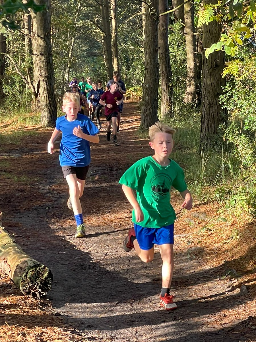 Poole and East Dorset School Sports Association tweet media