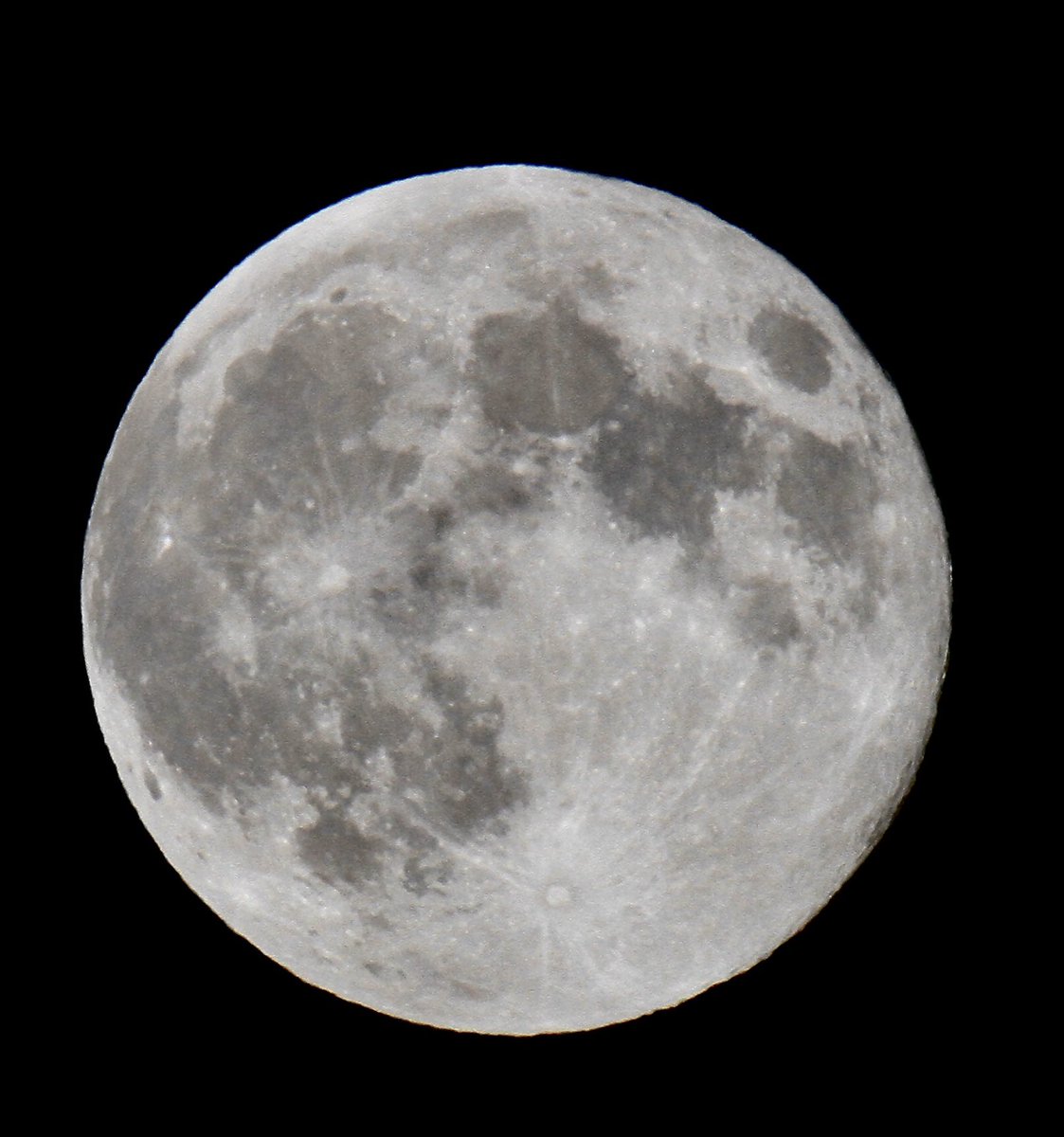 ribster13's tweet photo. “Hunters Moon”
#huntersmoon #ribster13 #moon #octobermoon #October2024 #october #moonphases #moonphase #planet https://t.co/GPzPXxjheS
