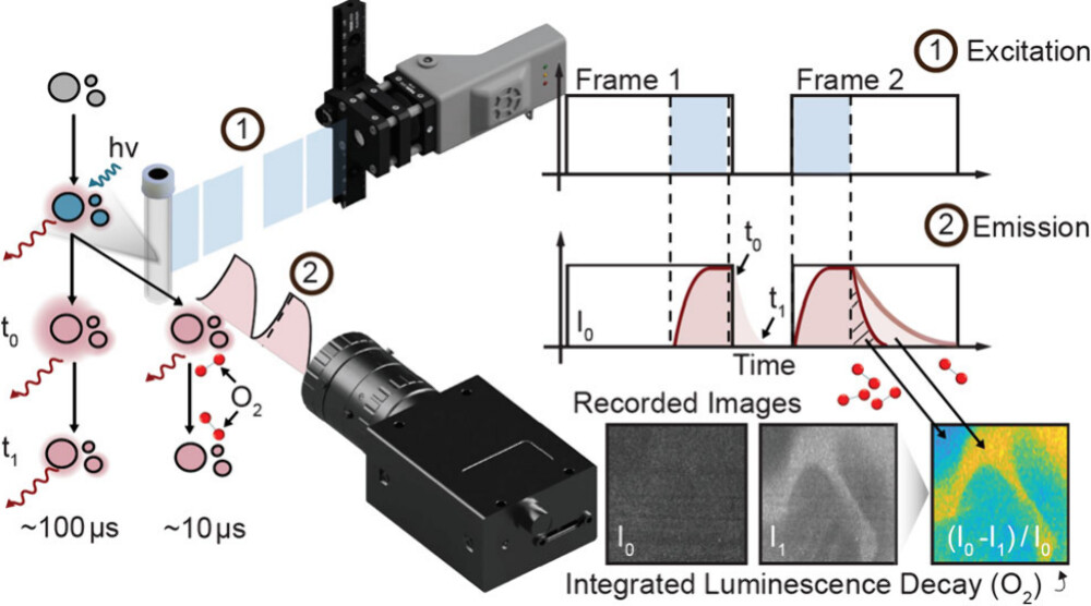 Soeren Ahmerkamp (@soerenahm) on Twitter photo Had an amazing time working on this project! Huge thanks to the fantastic team <a href="/MicroSensing/">MicroEcology Lab</a> <a href="/pacherres_co/">Cesar O. Pacherres</a> <a href="/MariaMosshammer/">Maria Mosshammer</a>.
pubs.acs.org/doi/full/10.10…
Now, let's dive into the exciting applications 🌊✨ <a href="/MarineMicrobio/">Max Planck Institute for Marine Microbiology</a> <a href="/Ostseeforschung/">Leibniz_IOW</a> Had an amazing time working on this project! Huge thanks to the fantastic team <a href="/MicroSensing/">MicroEcology Lab</a> <a href="/pacherres_co/">Cesar O. Pacherres</a> <a href="/MariaMosshammer/">Maria Mosshammer</a>.
pubs.acs.org/doi/full/10.10…
Now, let's dive into the exciting applications 🌊✨ <a href="/MarineMicrobio/">Max Planck Institute for Marine Microbiology</a> <a href="/Ostseeforschung/">Leibniz_IOW</a>