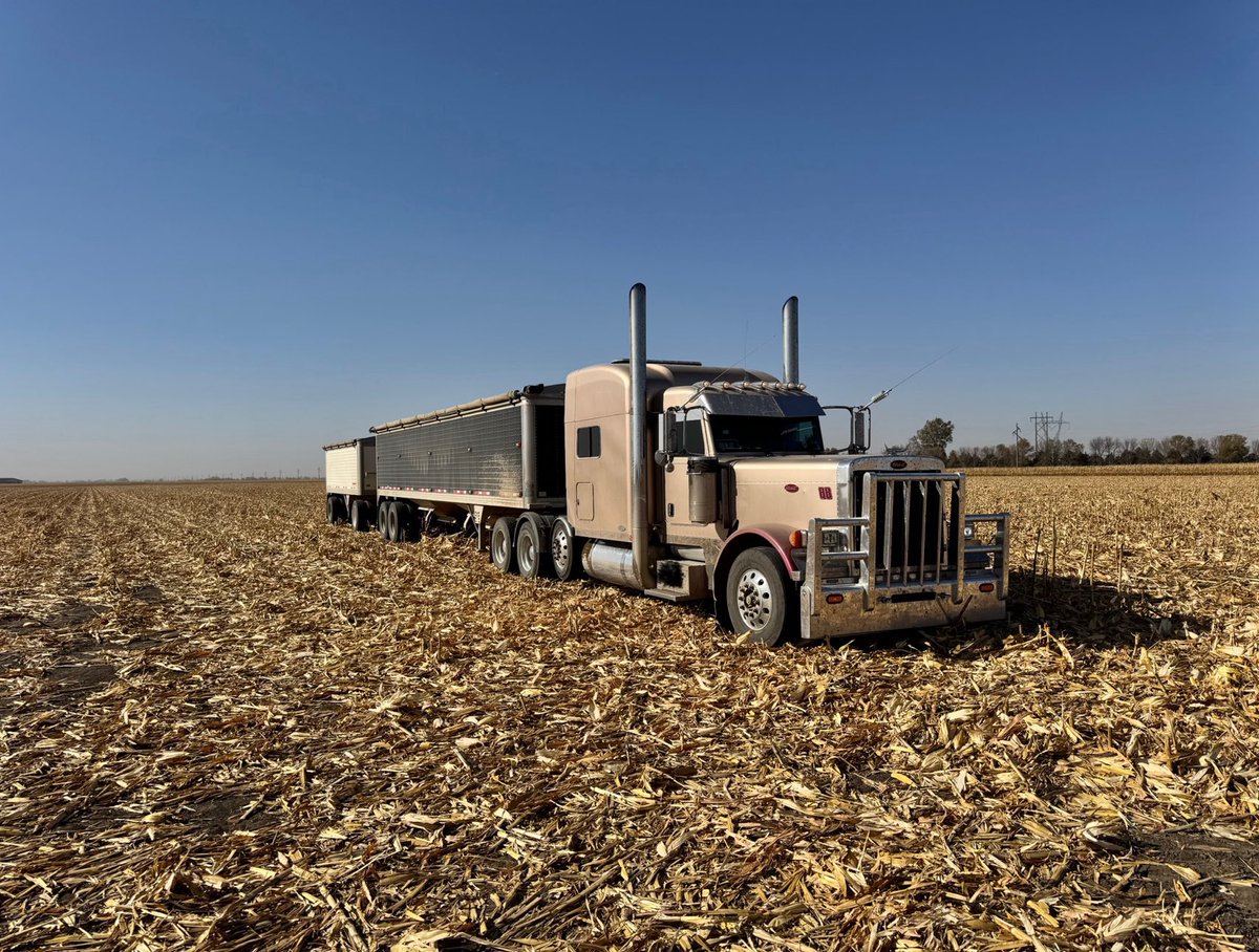 Leaves are falling weather is changing… that means padded snuggles by a fire after days out in the snow are coming! 🥰 diapered and harvesting corn 🌽