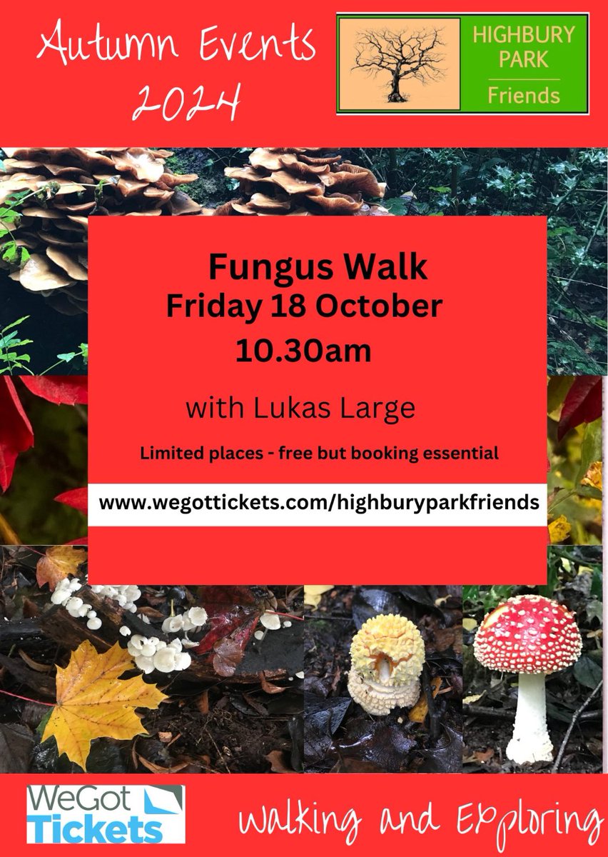 🍄we have a few tickets left for our fungi walk on Fri 18 Oct, 10.30am. Free to attend but book ahead due to limited places. Non-members welcome.🍄
bit.ly/4et0WXL