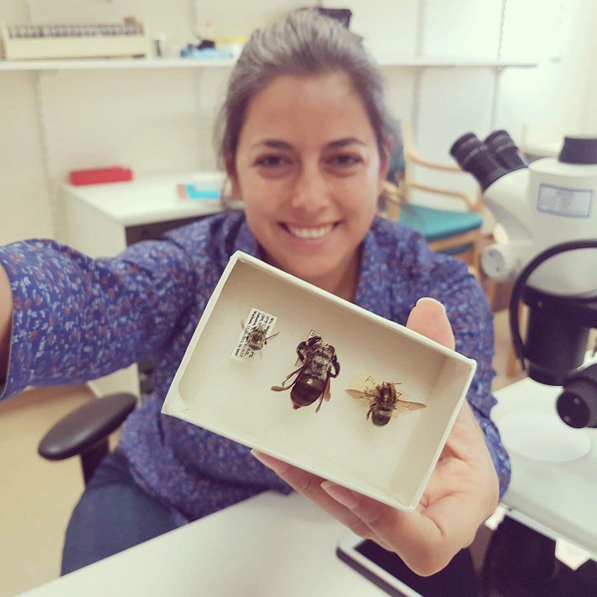 Systematic Entomology (@systematic_ent) on Twitter photo 📢Latest #EarlyView
A new exceptionally preserved #sawfly #fossil (#Hymenoptera: Pergidae) and an evaluation of its utility for divergence time estimation and #biogeography
doi.org/10.1111/syen.1…
<a href="/juanita_rodr/">Dr. Juanita Rodriguez</a> <a href="/CSIRO/">CSIRO</a> <a href="/WileyEcolEvol/">Wiley Ecology & Evolution</a>
Photo credit @Brytheflyguy 📢Latest #EarlyView
A new exceptionally preserved #sawfly #fossil (#Hymenoptera: Pergidae) and an evaluation of its utility for divergence time estimation and #biogeography
doi.org/10.1111/syen.1…
<a href="/juanita_rodr/">Dr. Juanita Rodriguez</a> <a href="/CSIRO/">CSIRO</a> <a href="/WileyEcolEvol/">Wiley Ecology & Evolution</a>
Photo credit @Brytheflyguy