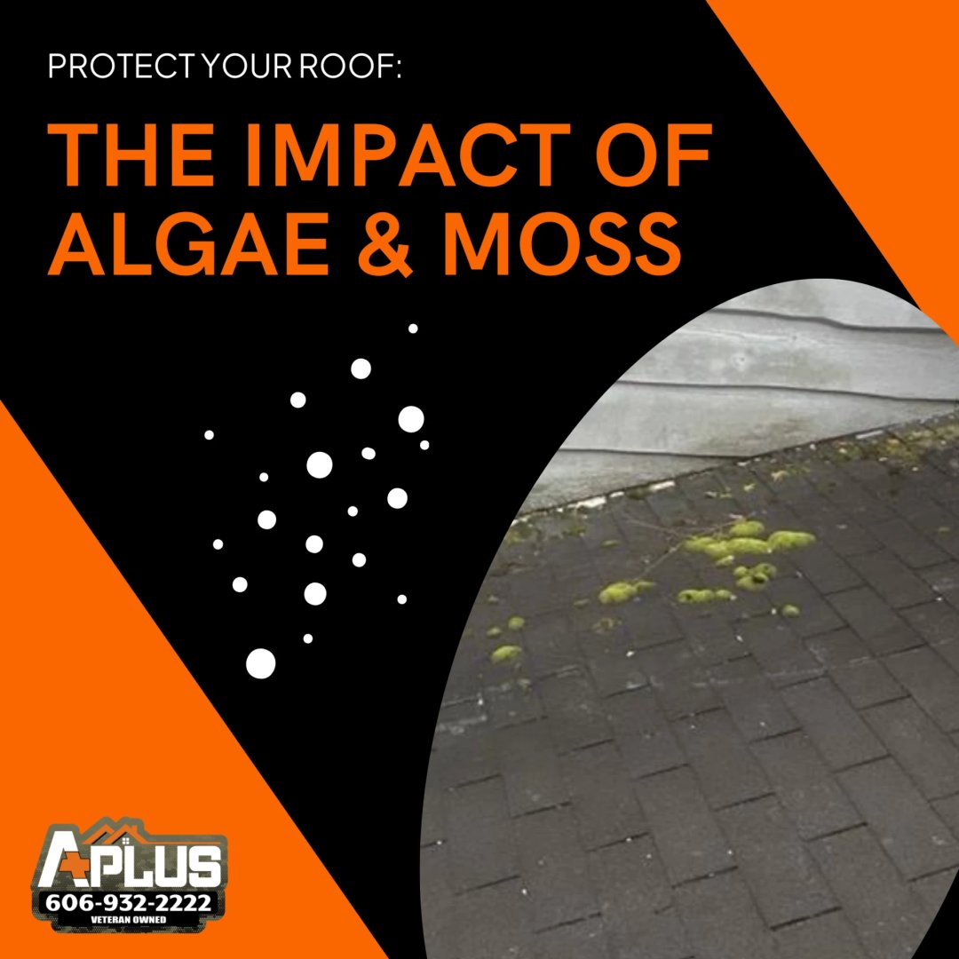 apluscontractky's tweet image. Algae &amp;amp; moss on your roof? 🌱 Not just unsightly, they can damage shingles and shorten your roof's lifespan. Regular cleaning &amp;amp; proper ventilation help keep your roof in top shape. Protect your home &amp;amp; avoid costly repairs! #RoofCare #AlgaePrevention #HomeMaintenance