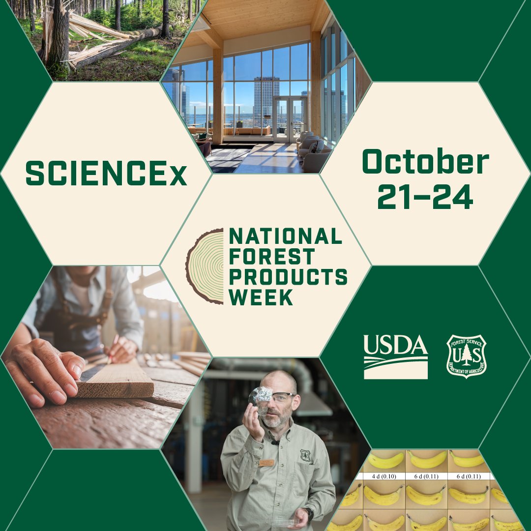 forestservice's tweet photo. SCIENCEx brings together scientists and land management experts to explore the latest science and best practices for addressing large natural resource challenges across the country.
Register for free today at: https://t.co/8yD5BbWxck
#NationalForestProductsWeek
#SCIENCEx https://t.co/h0zKdbuDBW
