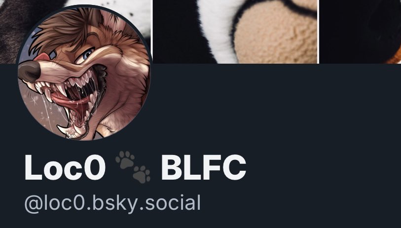LOCØ 🐾 tweet media