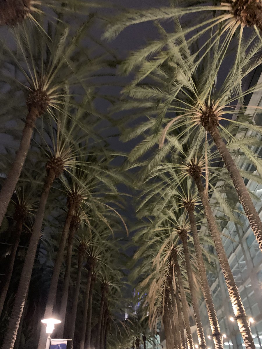 PRSAtactics's tweet photo. Thank you so much for a great #PRSAICON 2024 in Anaheim! Check back for more recaps from our insightful speakers at https://t.co/2TUtCTYHYL as well as in the upcoming print edition of Strategies & Tactics! https://t.co/JQvov7sQ9K