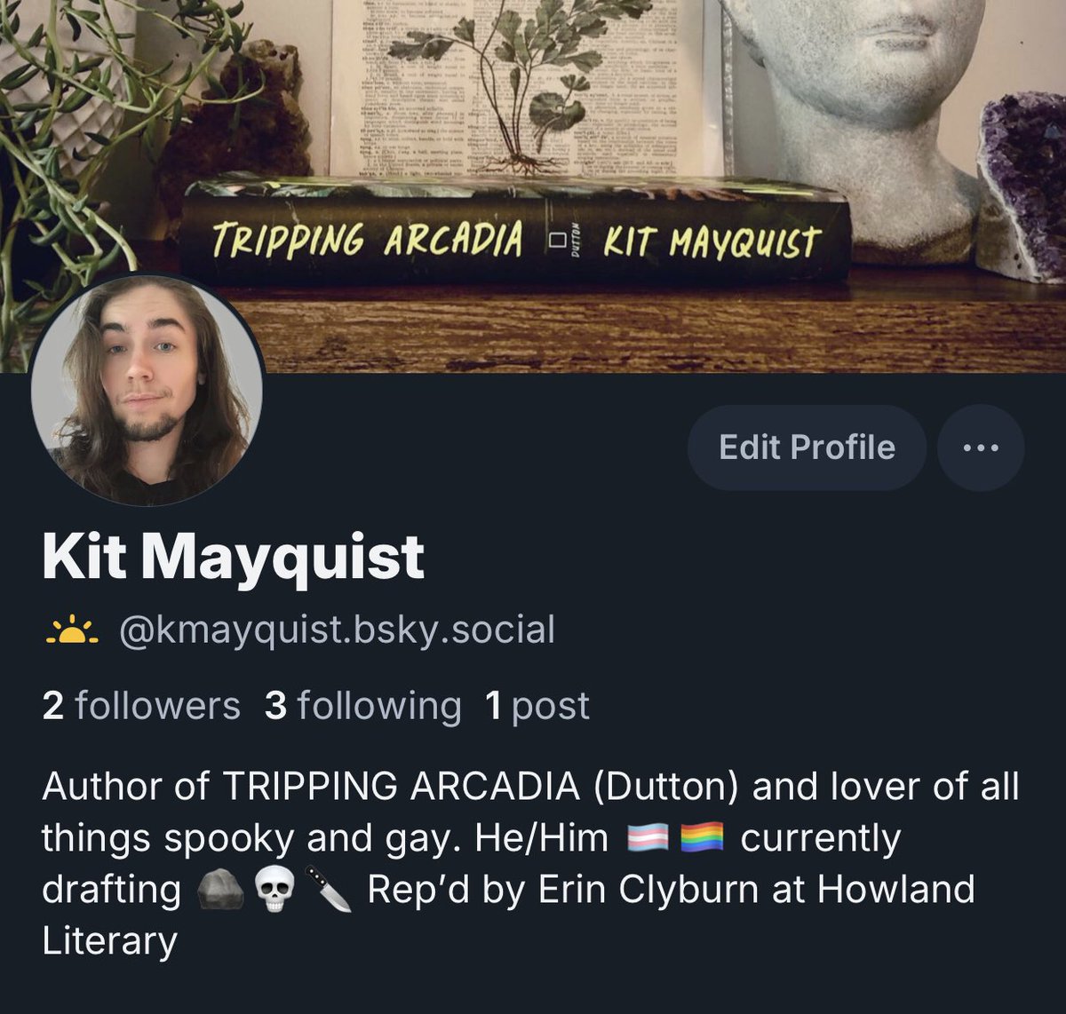 Kit Mayquist- Pre-Order THESE DREAMING SPIRES tweet media