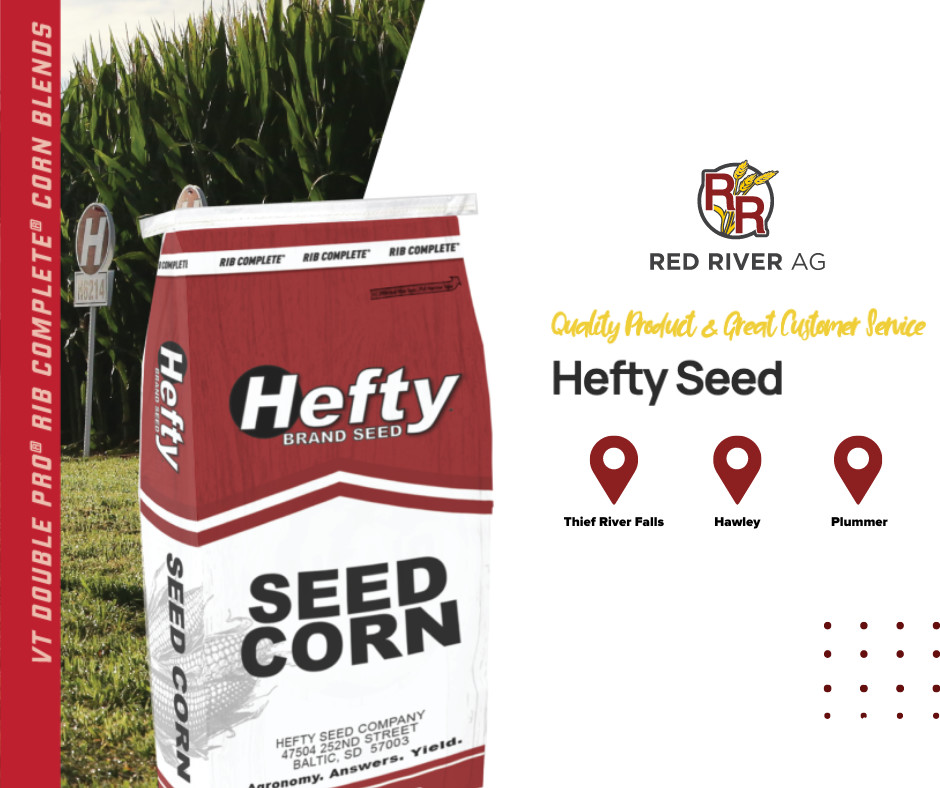 RedRiverAg_MN's tweet image. At Red River Ag, we&apos;re thrilled to be your trusted Hefty Seed dealer, serving Thief River Falls, Hawley, and Plummer, MN! Hefty Seed is a brand known for its innovation, quality, and dedication to helping farmers succeed.

#RedRiverAg #HeftySeed #Farming #Agriculture #CropSuccess