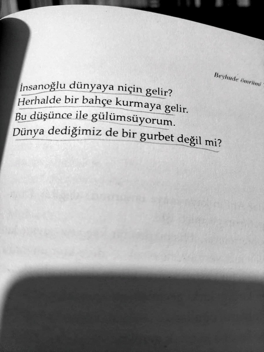 Mustafa KUTLU, "Beyhude Ömrüm"