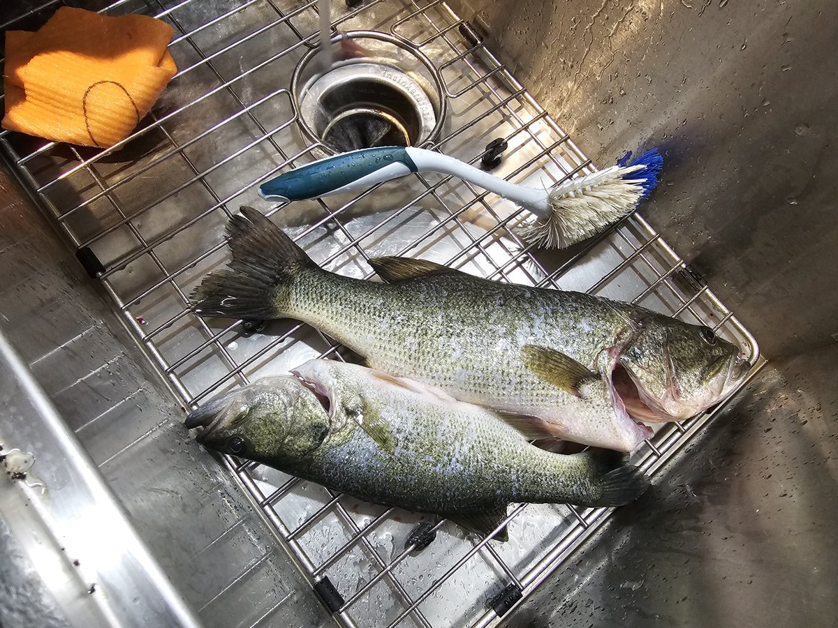 alicewillhelp's tweet photo. Recall the child who wanted fishing equipment to catch food for his family?  Here's his catch!  Teacher says "he now feels like he is the provider of the home.  He has also started teaching his school classmates about fishing &amp; is trying to open a fishing club in our school." https://t.co/1bsvztgn9f