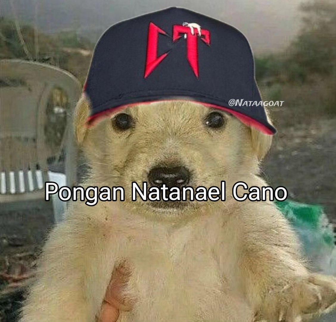 Pongan