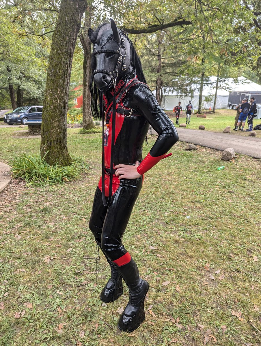 King™️ tweet media