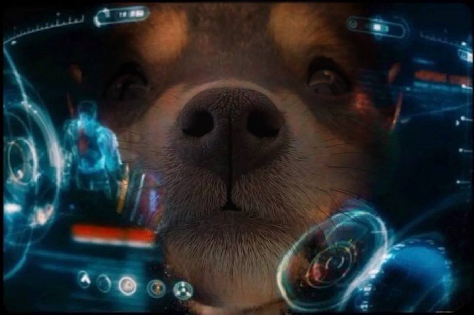 Jeetburner's tweet image. Manyu Jeet Burner gearing up