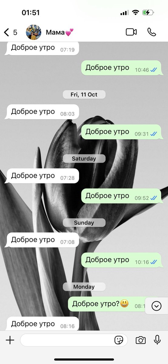 ТаДжиева tweet media