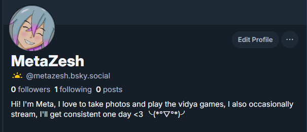 MetaZesh's tweet image. made one of those things if anyone wants to follow there 🩵