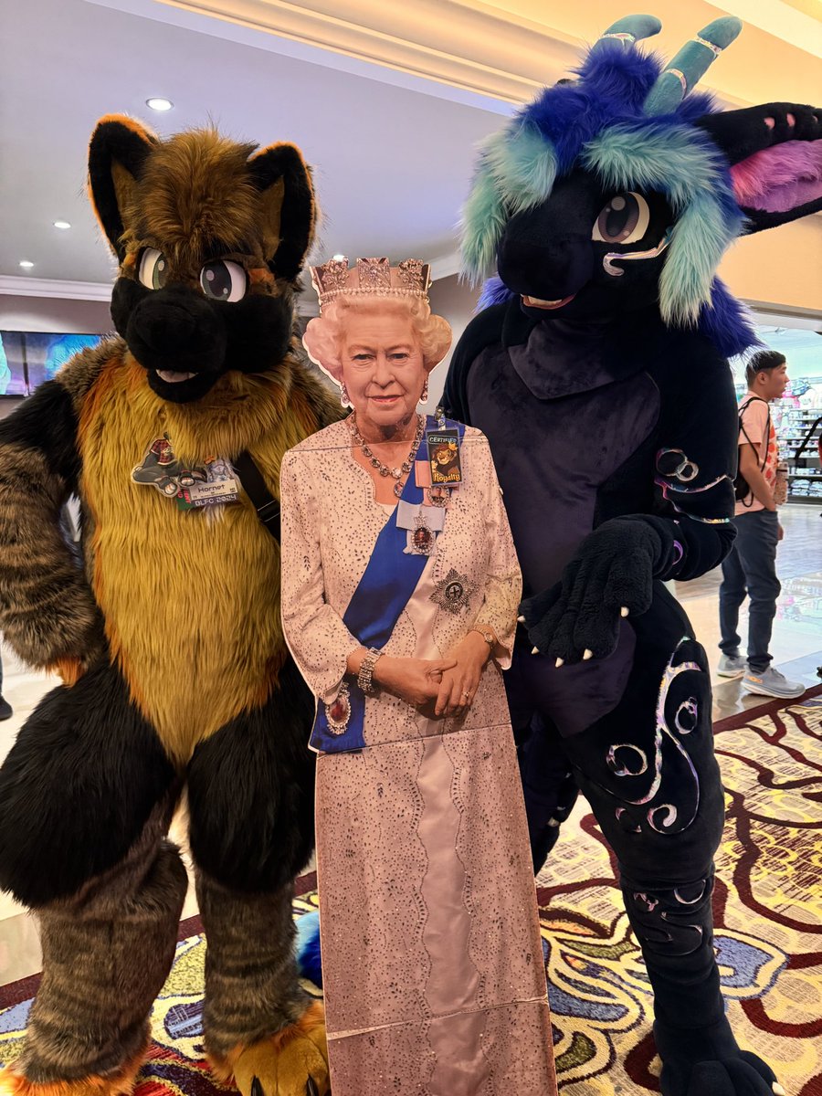 #BLFC2024 #BLFC24