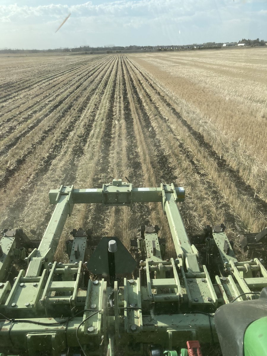 PDevloo's tweet image. First tillage on my farm in 4 yrs….20ac in…I need coffee