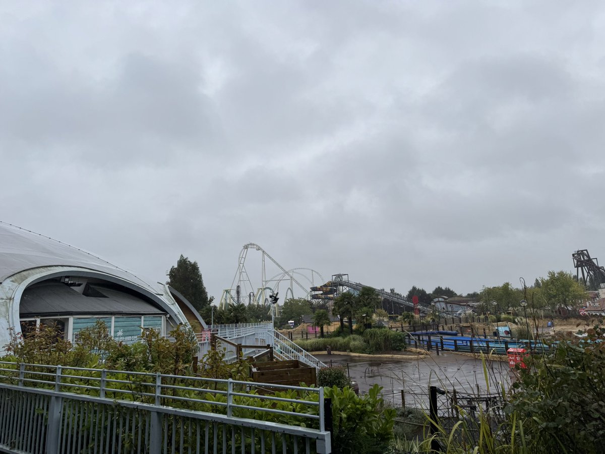 Nathan Mills tweet media