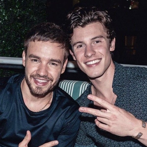 shawngalleryog's tweet photo. Wherever you are, I hope you find peace. Your journey touched so many, and your legacy will live on. One Direction’s music shaped my childhood and still lifts me up. Writing this is so hard, holding back tears.

RIP🕊️ #liampaye #OneDirection https://t.co/7LUmRys4vU